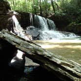 Review photo of Holly River State Park Campground by Dave V., September 7, 2016