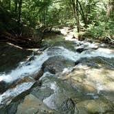 Review photo of Holly River State Park Campground by Dave V., September 7, 2016
