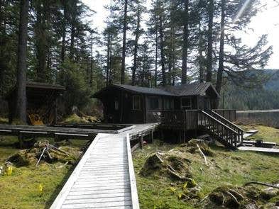 Camper submitted image from Virginia Lake Cabin - 5