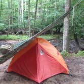 Review photo of Holly River State Park Campground by Dave V., September 7, 2016