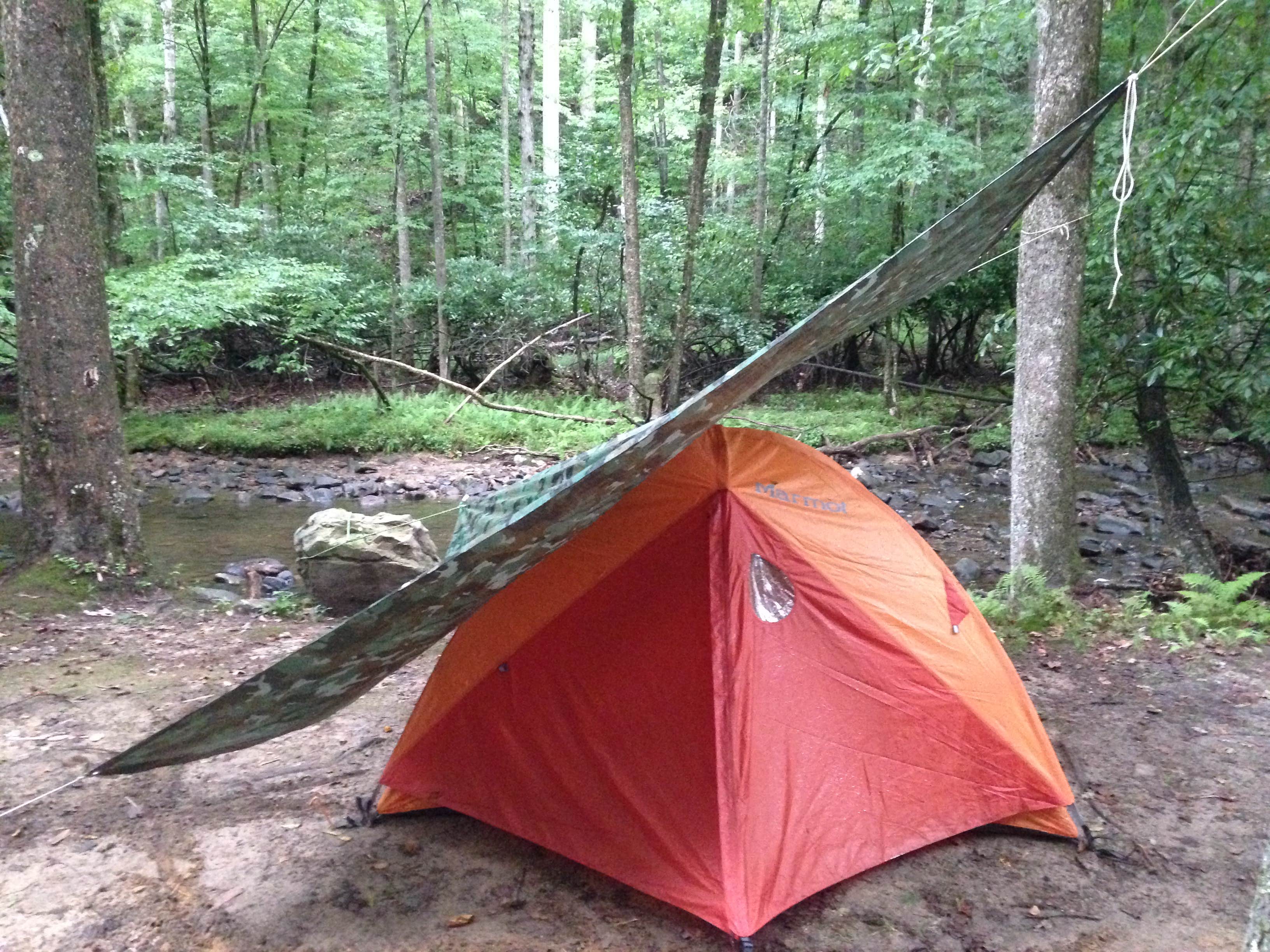 Camper submitted image from Holly River State Park Campground - 5