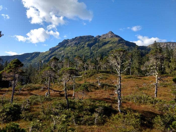 Camper submitted image from Goulding Lake Cabin - 3