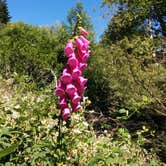 Review photo of Humbug Mountain State Park Campground by Jesse H., September 28, 2015