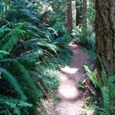 Review photo of Humbug Mountain State Park Campground by Jesse H., September 28, 2015
