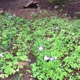Review photo of Echo Lake Campground by Karen B., September 7, 2016