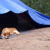 Review photo of Dubay Park Campground by Adrienne L., September 7, 2016