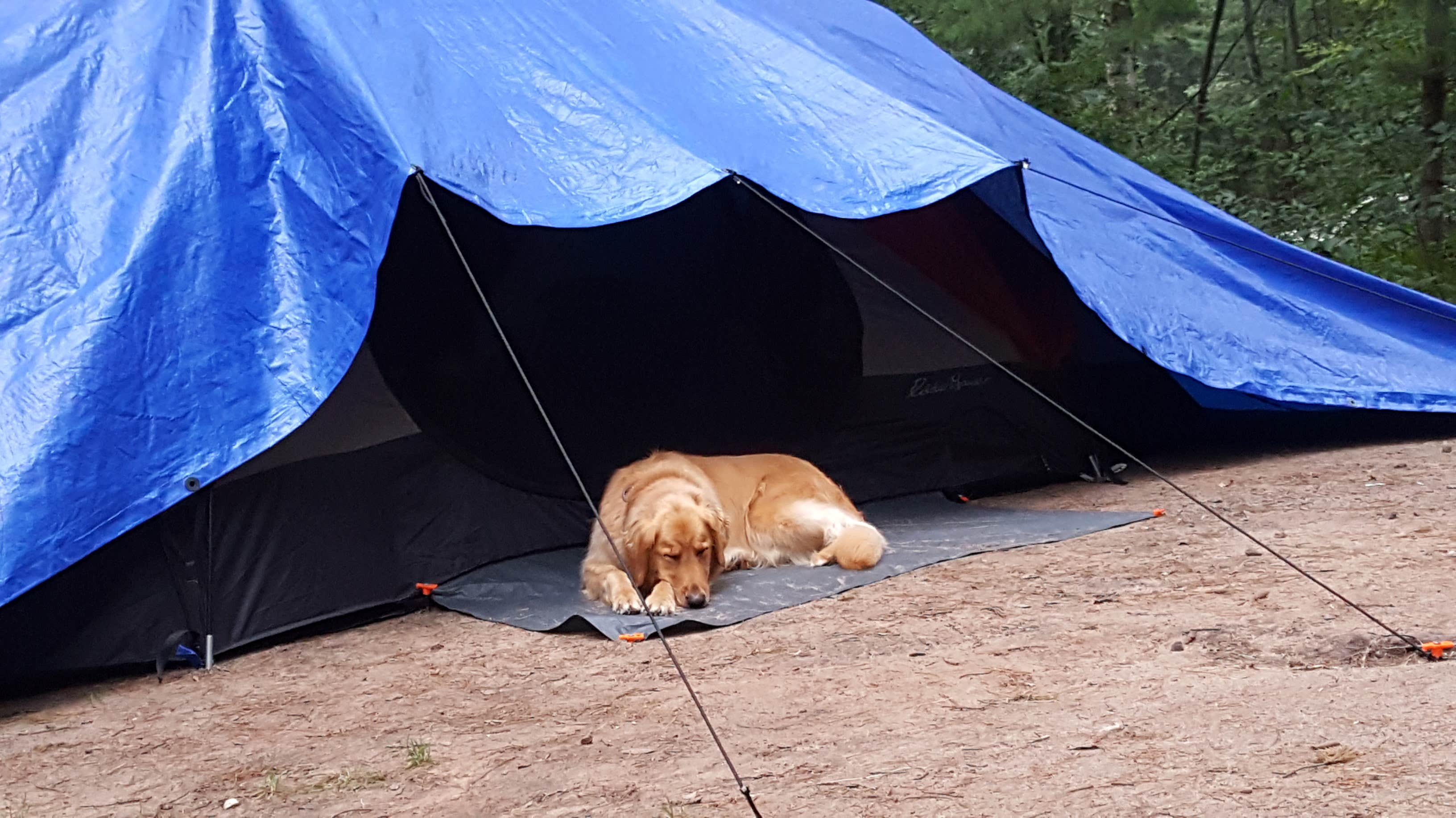 Camper submitted image from Dubay Park Campground - 3