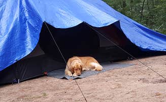 Adrienne L.'s photo at Dubay Park Campground near Rothschild, WI