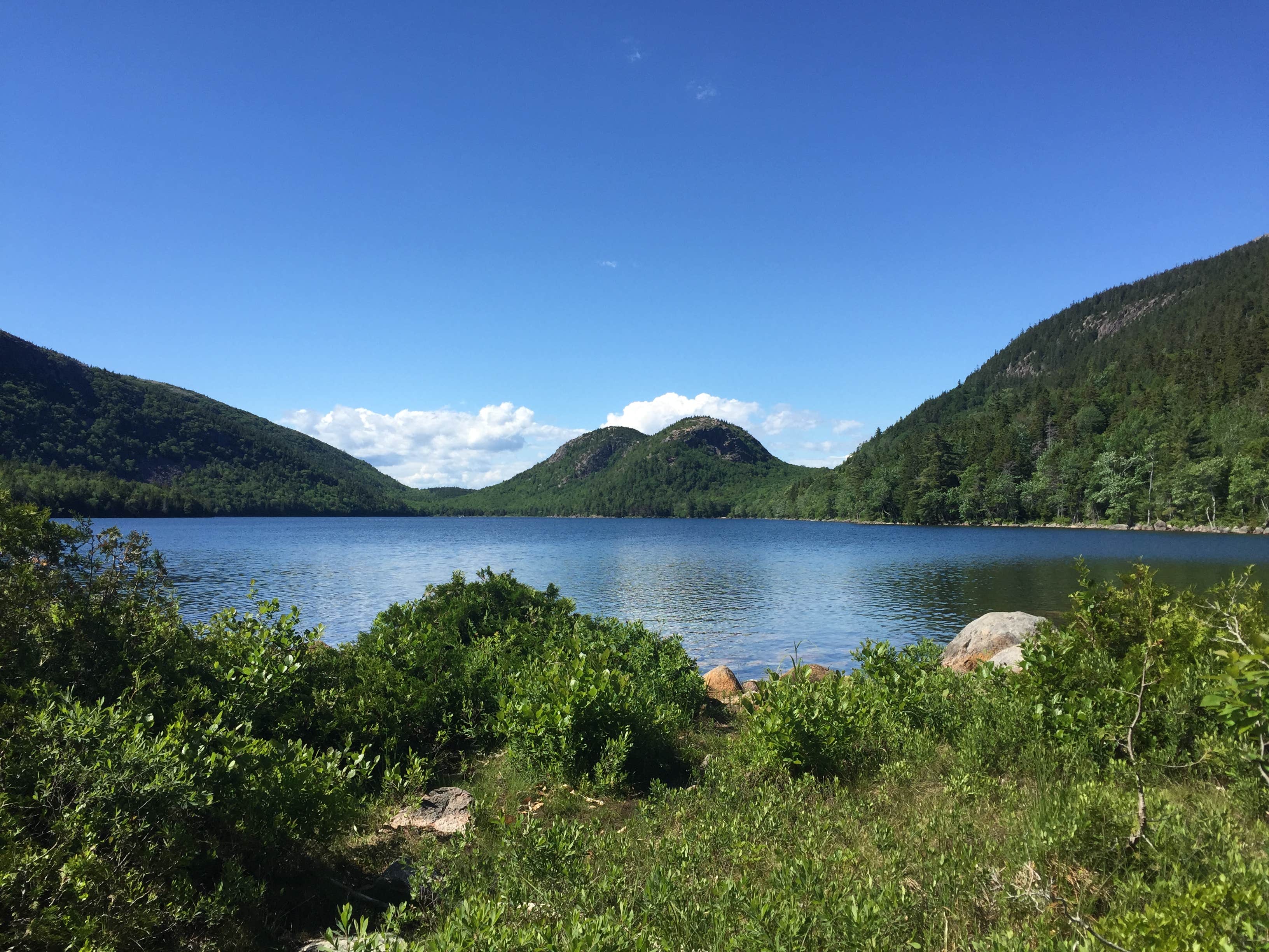 Camper submitted image from Smuggler's Den Campground - 5