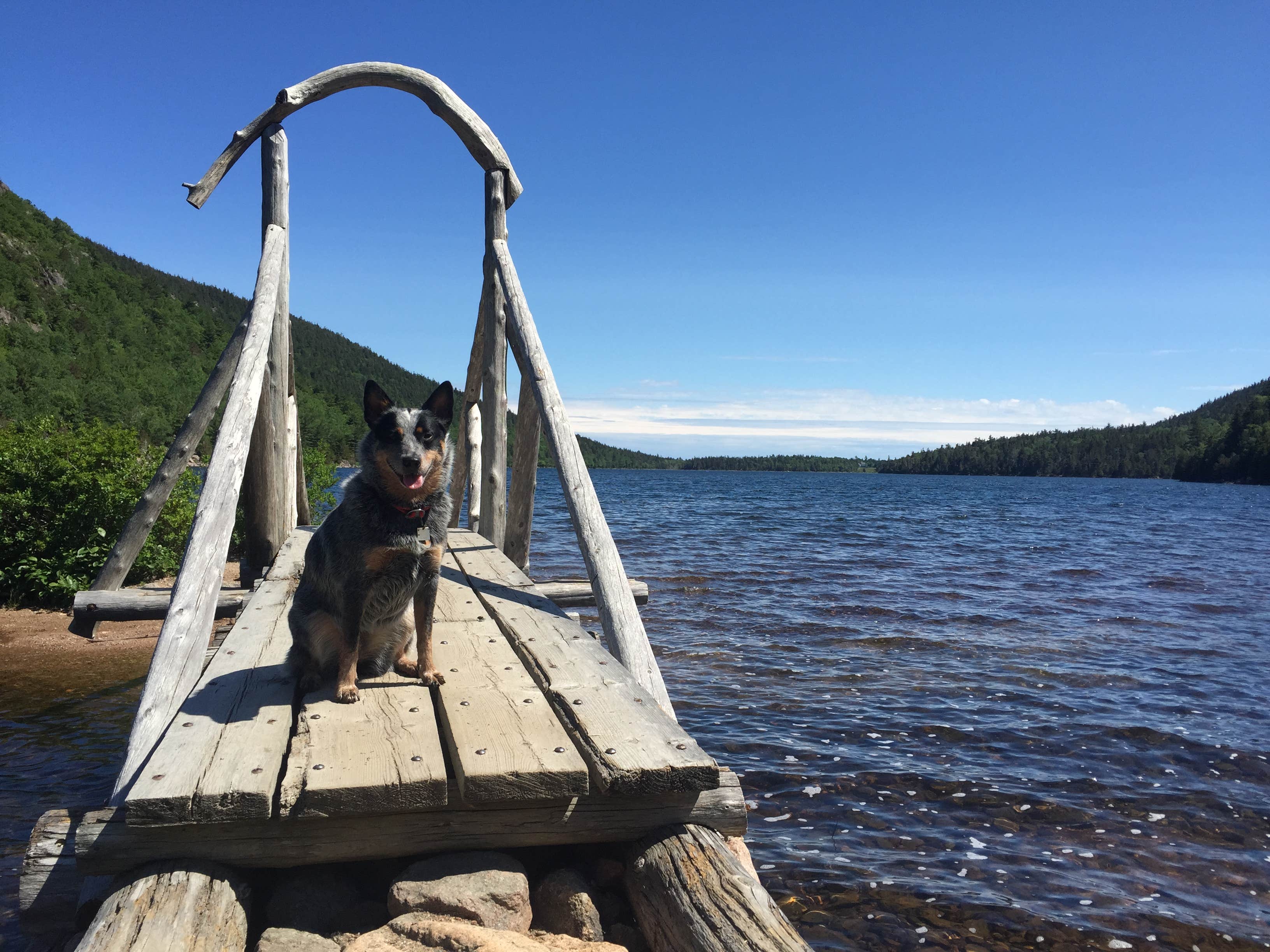 Camper submitted image from Smuggler's Den Campground - 4