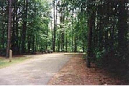Camper submitted image from Dam Site River - Beaver Lake - 2