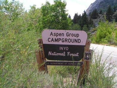 Camper submitted image from Aspen Group Campground - 2