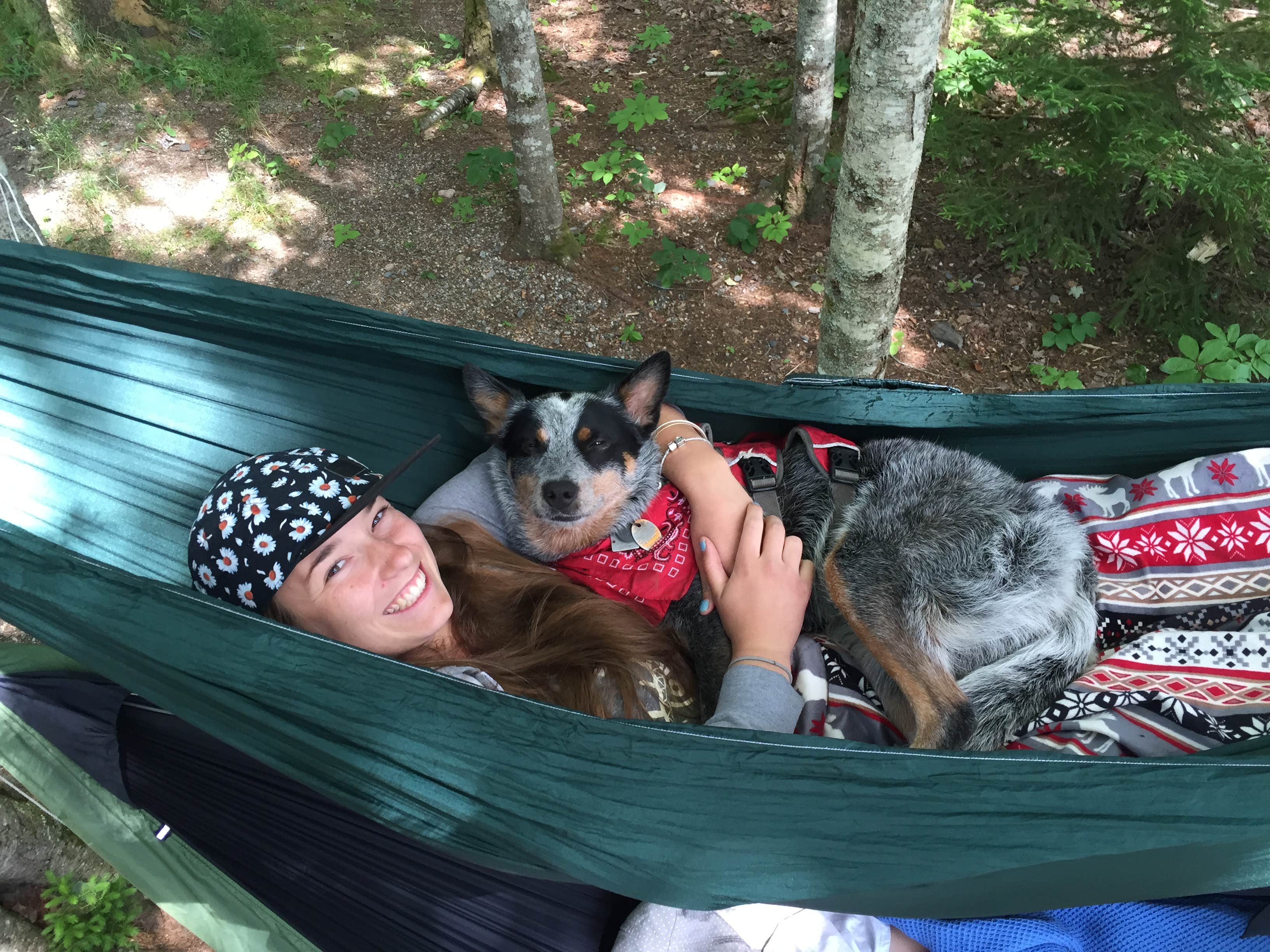 Molly G.'s photo of camping with pets at Smuggler's Den Campground near Owls Head, ME