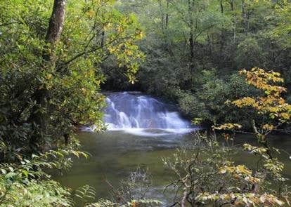 Camper submitted image from Pisgah National Forest Cove Creek Group Campground - 1