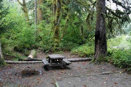 Camper submitted image from Boardman Creek Group Campground - 2