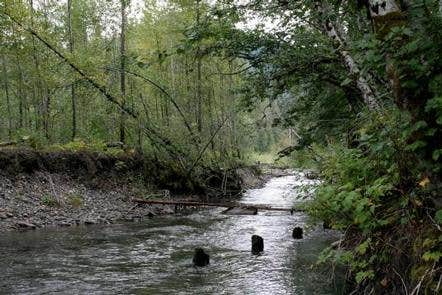 Camper submitted image from Boardman Creek Group Campground - 1