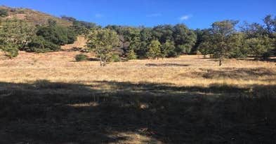 Ponderosa Campground Camping | Big Sur, CA | The Dyrt