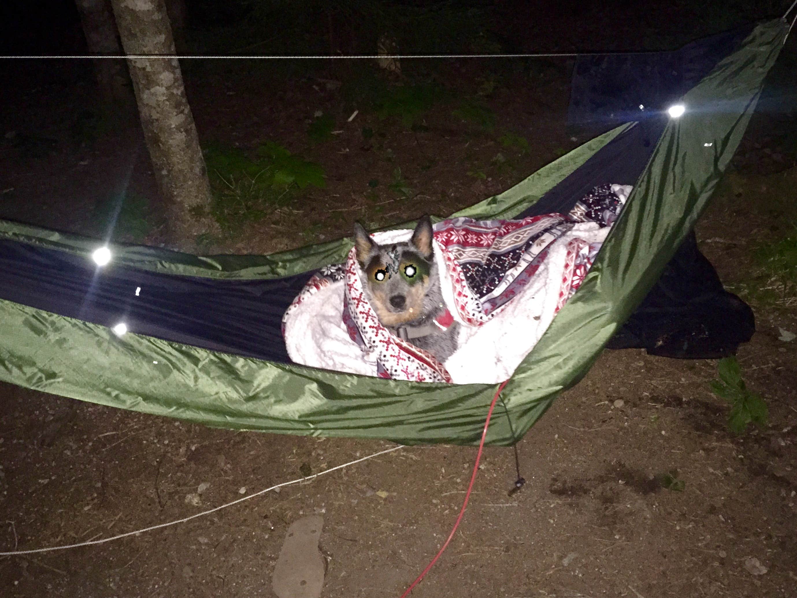 Camper-submitted photo at Smuggler's Den Campground near Acadia National Park
