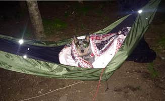 Molly G.'s photo at Smuggler's Den Campground near Bar Harbor, ME