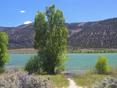 Camper submitted image from Manti-LaSal National Forest Joes Valley Pavilion Group Campground - 4