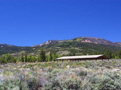 Camper submitted image from Manti-LaSal National Forest Joes Valley Pavilion Group Campground - 4