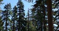 Masterson Group Campground