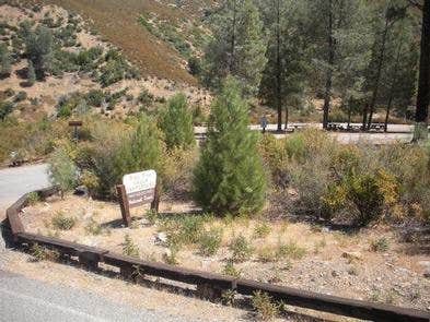 Camper submitted image from Gray Pine Group Campground - 2