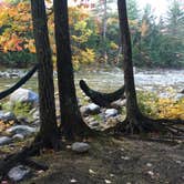 Review photo of Hancock Campground by Molly G., September 7, 2016