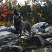 Review photo of Hancock Campground by Molly G., September 7, 2016