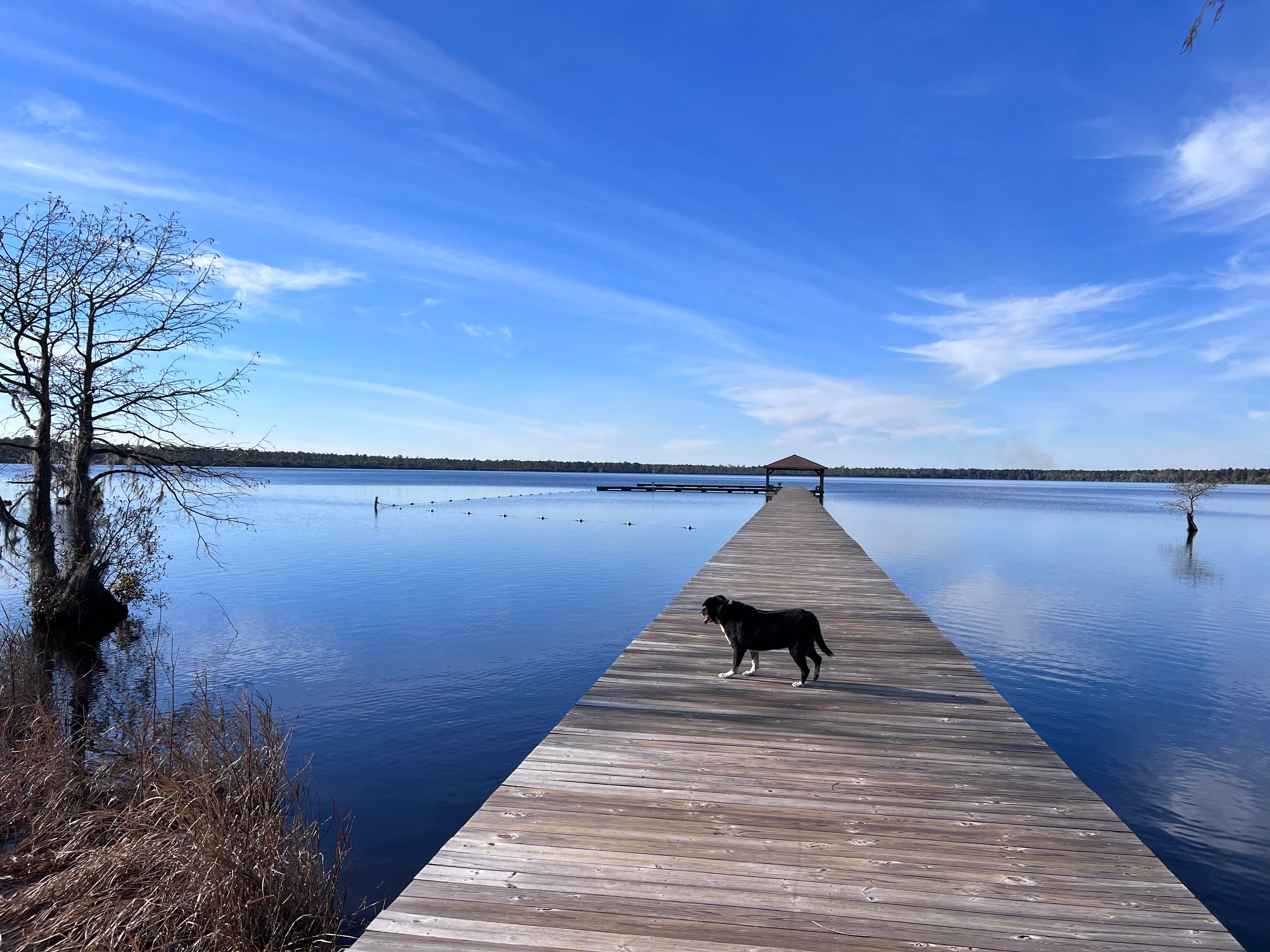 Camper submitted image from Camp Ipecac Group Camp — Singletary Lake State Park - 5