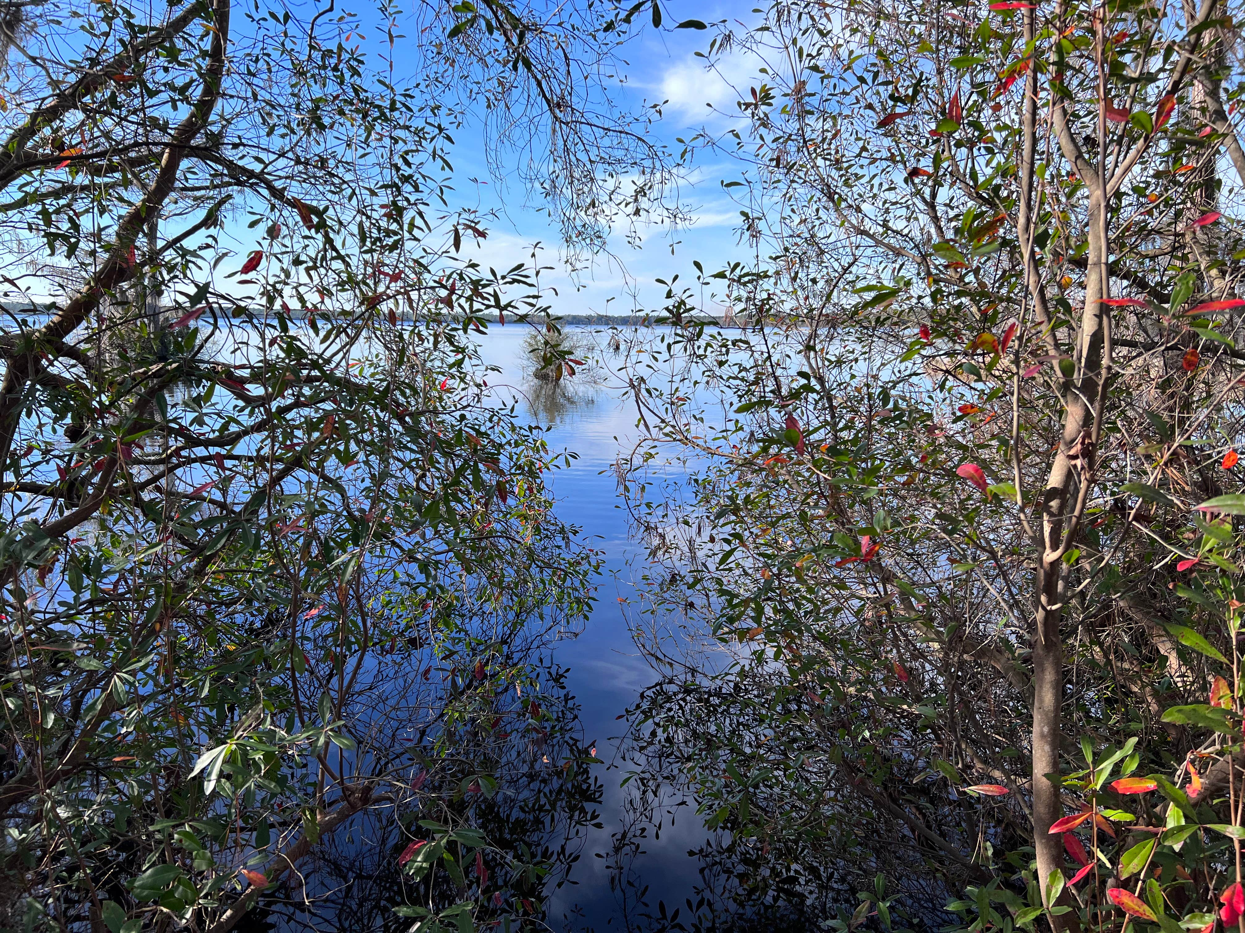 Camper submitted image from Camp Ipecac Group Camp — Singletary Lake State Park - 1