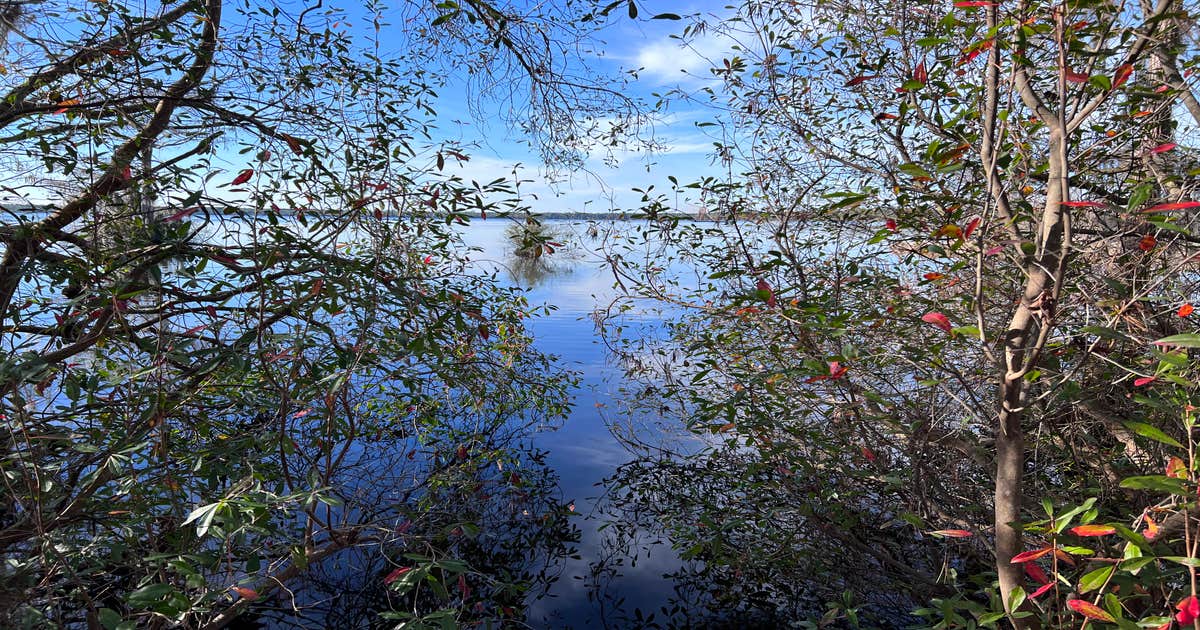 Camp Ipecac Group Camp — Singletary Lake State Park