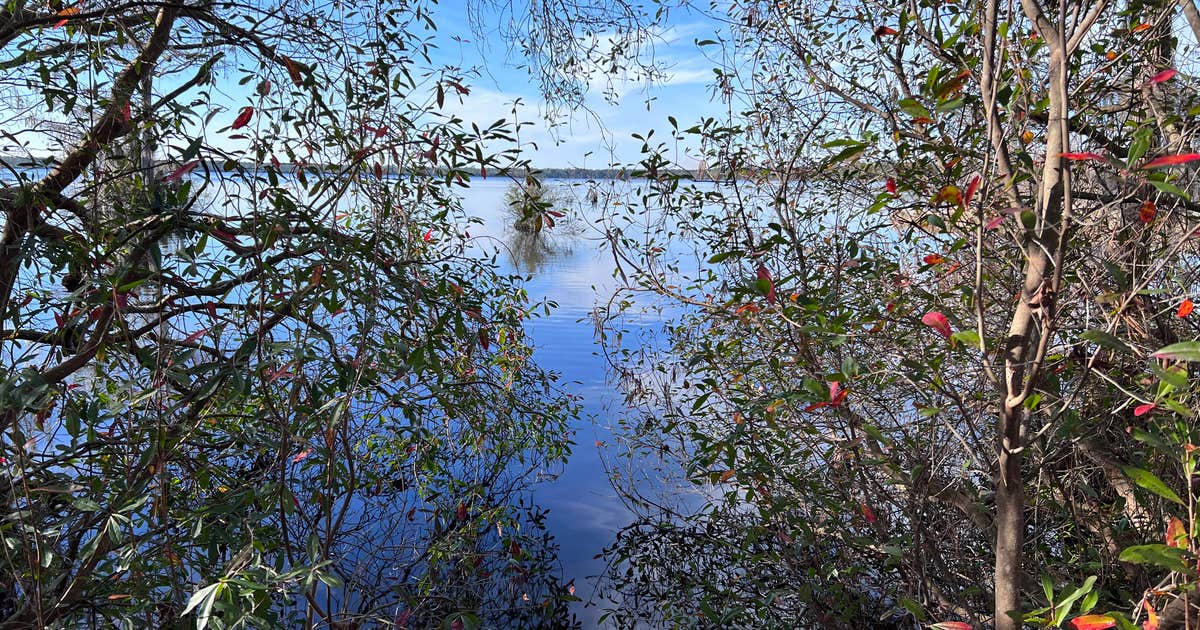 Camp Ipecac Group Camp — Singletary Lake State Park