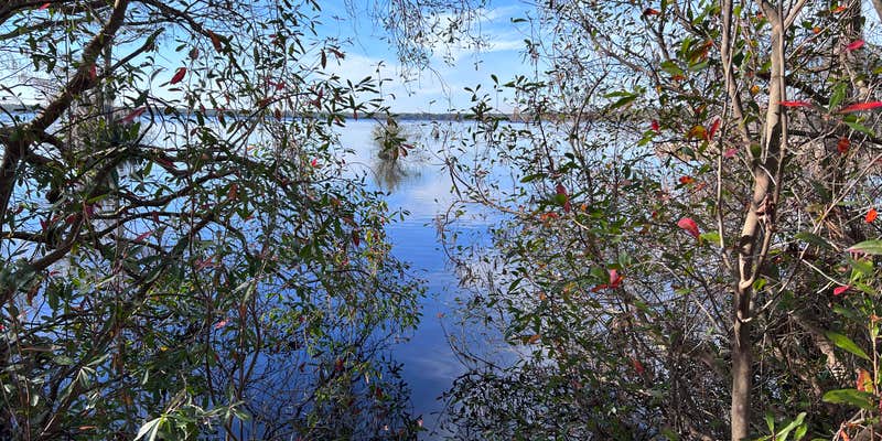 Camper submitted image from Camp Ipecac Group Camp — Singletary Lake State Park