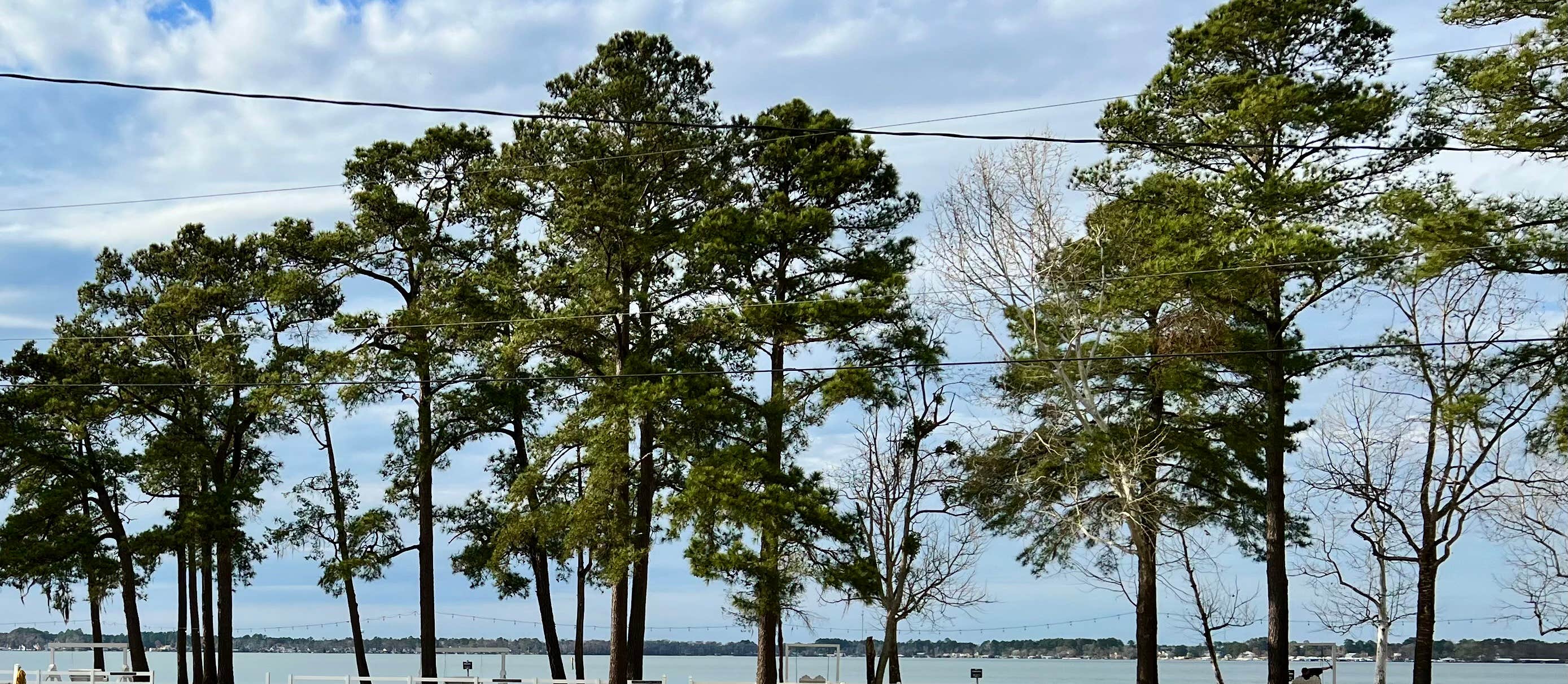 Camper-submitted photo at The Grand Regal Lakeside RV Resort and Campground near Harrells, NC