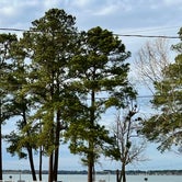 Review photo of The Grand Regal Lakeside RV Resort and Campground by Ellen W., March 24, 2024