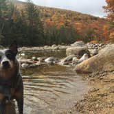 Review photo of Hancock Campground by Molly G., September 7, 2016
