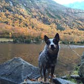Review photo of Hancock Campground by Molly G., September 7, 2016