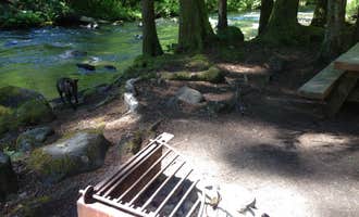 Camping near Mount Hood National Forest Sunstrip Campground - TEMPORARILY CLOSE DUE TO FIRE DAMAGE: Ripplebrook Campground CLOSED INDEFINITELY DUE TO FIRE, Welches, Oregon