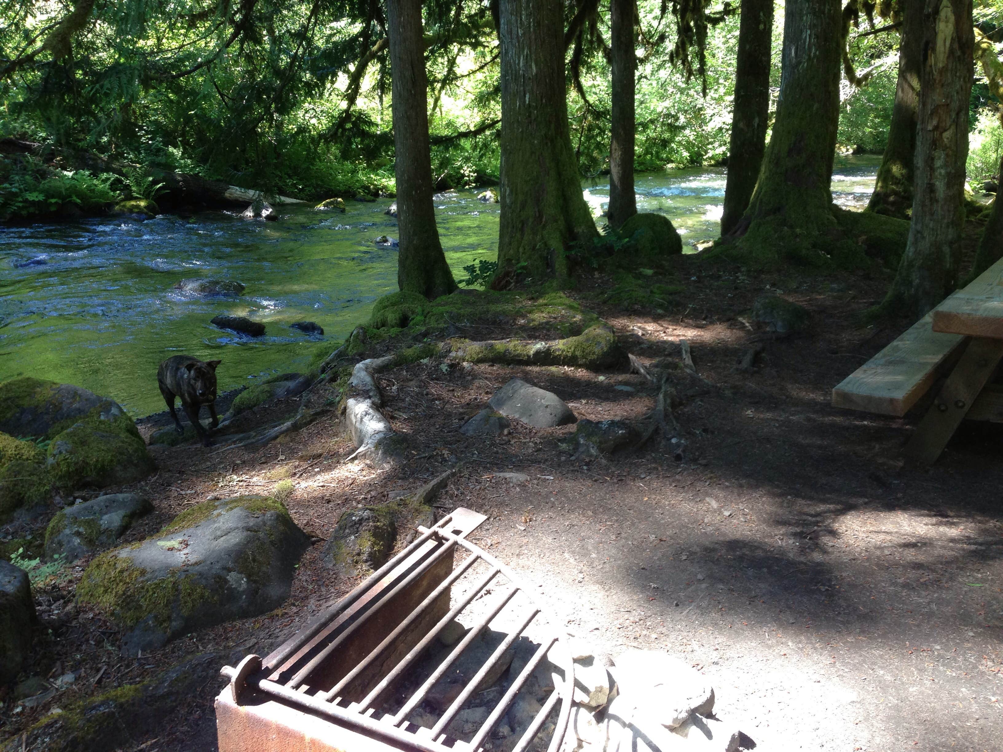 Camper submitted image from Ripplebrook Campground CLOSED INDEFINITELY DUE TO FIRE - 1