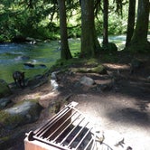 Review photo of Ripplebrook Campground CLOSED INDEFINITELY DUE TO FIRE by Kevin L., September 29, 2015