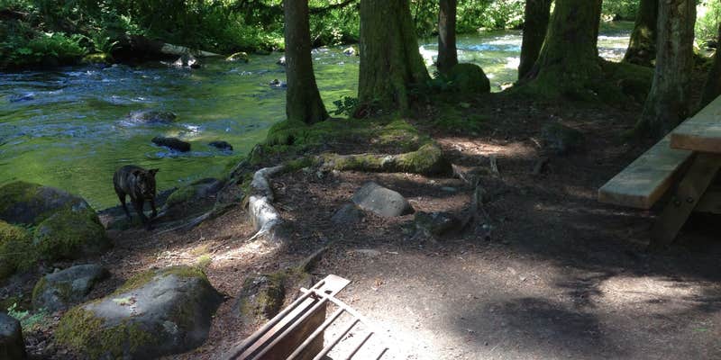 Camper submitted image from Ripplebrook Campground CLOSED INDEFINITELY DUE TO FIRE