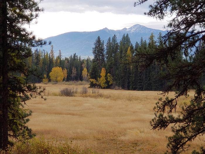 Camper submitted image from Old Condon Ranger Station - 1