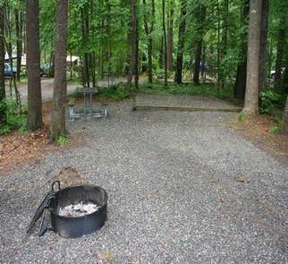 Camper-submitted photo from Balsam Mountain Campground — Great Smoky Mountains National Park