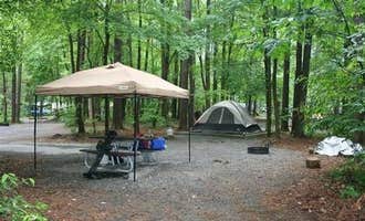 Camping near Laurel Gap Shelter: Cataloochee Campground — Great Smoky Mountains National Park, Maggie Valley, North Carolina
