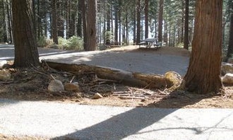 Camping near Black Oak Group Campground: Ponderosa Cove Group Campground, Pollock Pines, California