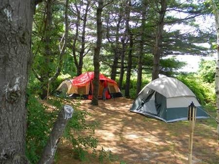 Camper submitted image from Camp Gateway- Brooklyn NY - CLOSED — Gateway National Recreation Area - 1