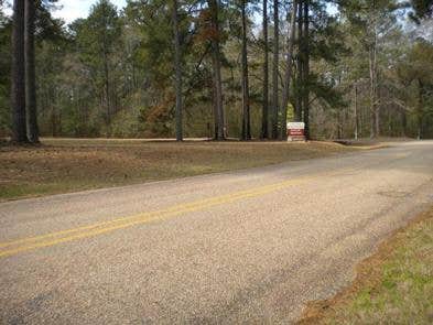 Roads