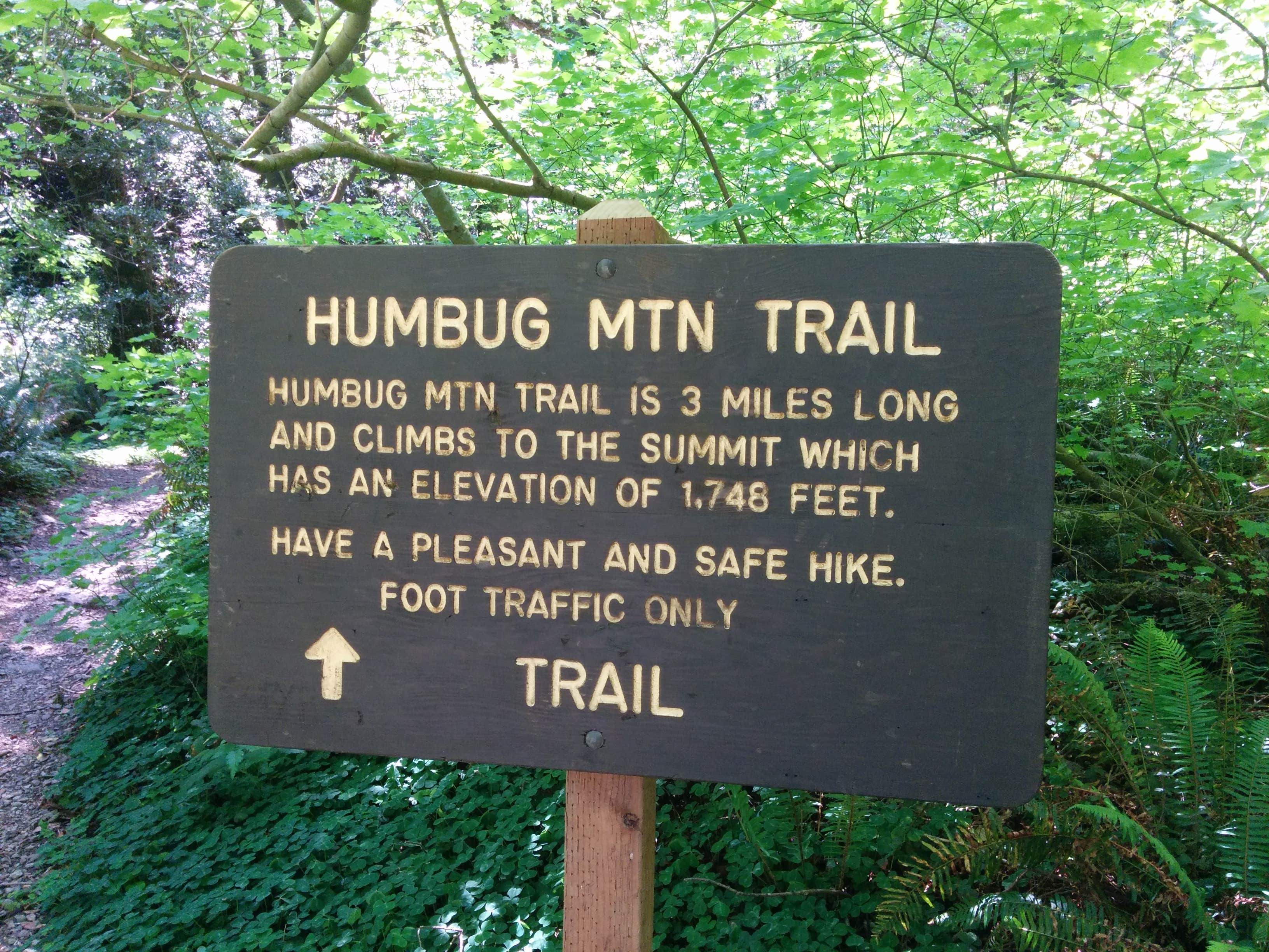 Camper submitted image from Humbug Mountain State Park Campground - 3