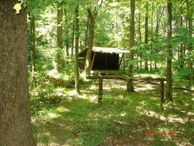 Camper submitted image from Adirondack Shelters — Catoctin Mountain Park - 4